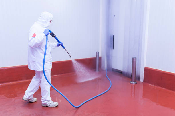 Trusted Beverly Hills, CA Pressure Washing Services Experts