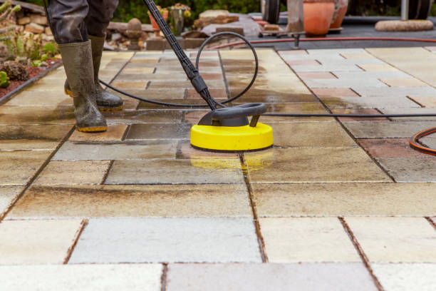Best Animal Enclosure Cleaning  in Beverly Hills, CA